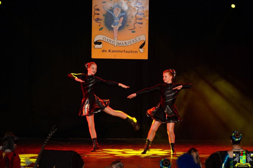 ../Images/Dansmarieke festival 2018 191.jpg